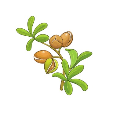 Huile d'argan, anti-âge