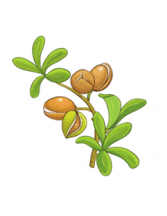 Huile d'Argan Bio pour Peau et Cheveux | Propriétés Nourrissantes et Régénérantes