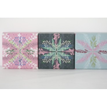 Kartonnen doos met 4 zepen van 50 g