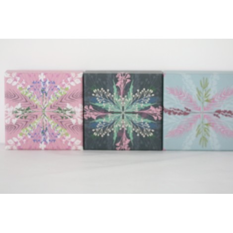 Kartonnen doos met 4 zepen van 50 g