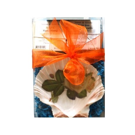 Concha de vieira decorada y 2 jabones perfumados