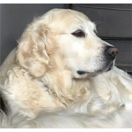 Soft antiparasitic shampoo for furry animals