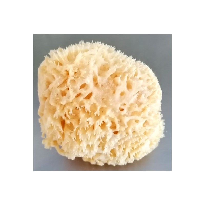 Sea sponge, Kalyminos origin