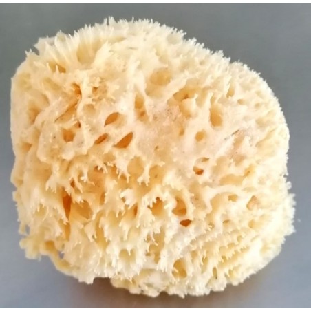 For washing, if you are looking for softness but efficiency, try this natural sponge from Kalimnos.