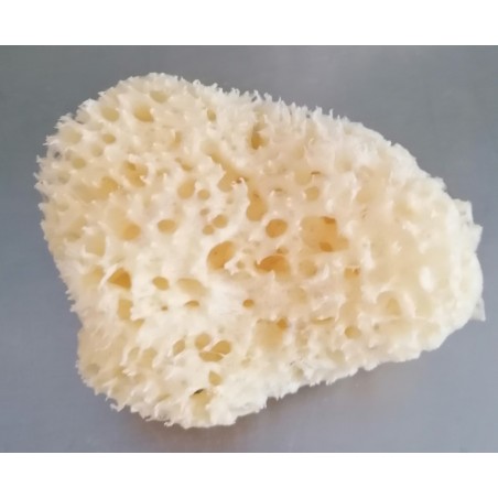 For washing, if you are looking for softness but efficiency, try this natural sponge from Kalimnos.